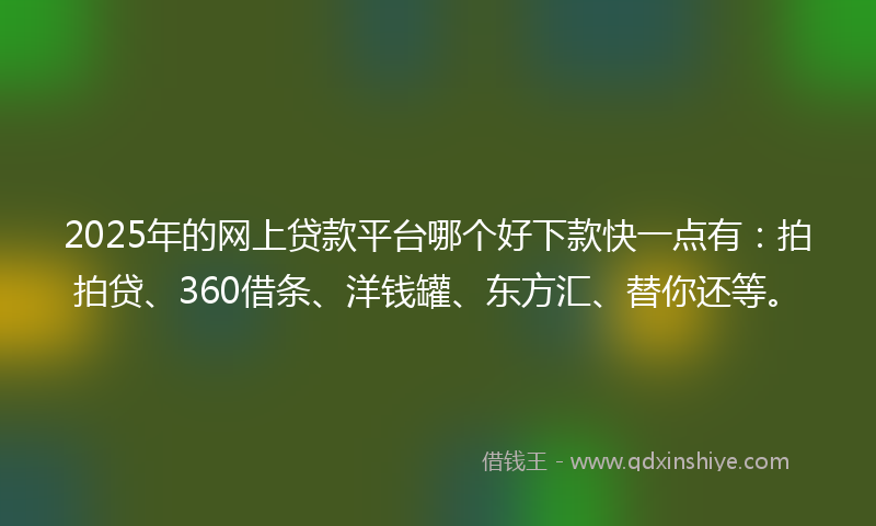 2025年的网上贷款平台哪个好下款快一点有：拍拍贷、360借条、洋钱罐、东方汇、替你还等。