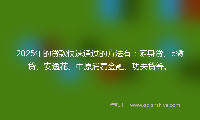 2025年的贷款快速通过的方法有：随身贷、e微贷、安逸花、中原消费金融、功夫贷等。
