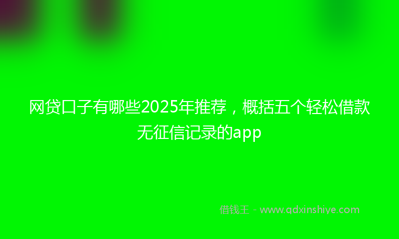 网贷口子有哪些2025年推荐，概括五个轻松借款无征信记录的app