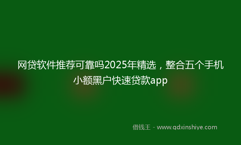 网贷软件推荐可靠吗2025年精选，整合五个手机小额黑户快速贷款app