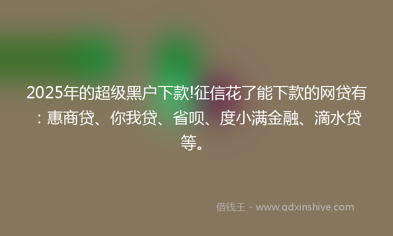 2025年的超级黑户下款!征信花了能下款的网贷有：惠商贷、你我贷、省呗、度小满金融、滴水贷等。