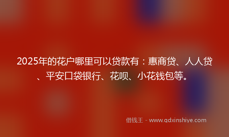 2025年的花户哪里可以贷款有：惠商贷、人人贷、平安口袋银行、花呗、小花钱包等。