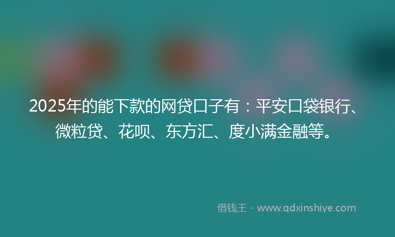 2025年的能下款的网贷口子有：平安口袋银行、微粒贷、花呗、东方汇、度小满金融等。