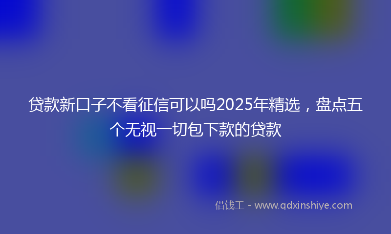 贷款新口子不看征信可以吗2025年精选，盘点五个无视一切包下款的贷款