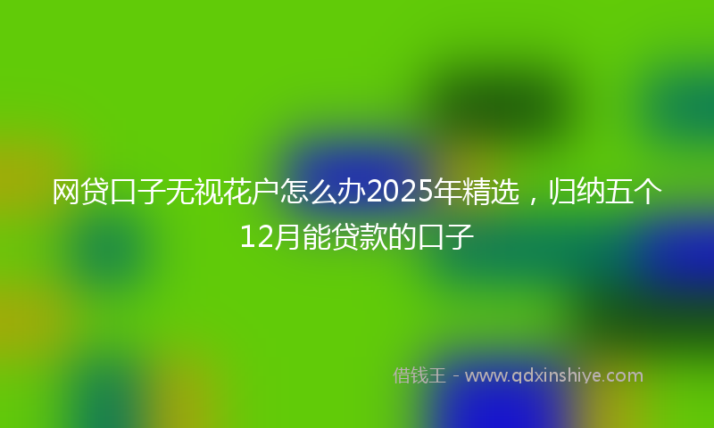 网贷口子无视花户怎么办2025年精选，归纳五个12月能贷款的口子