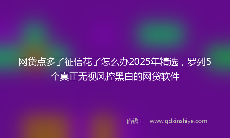 网贷点多了征信花了怎么办2025年精选，罗列5个真正无视风控黑白的网贷软件