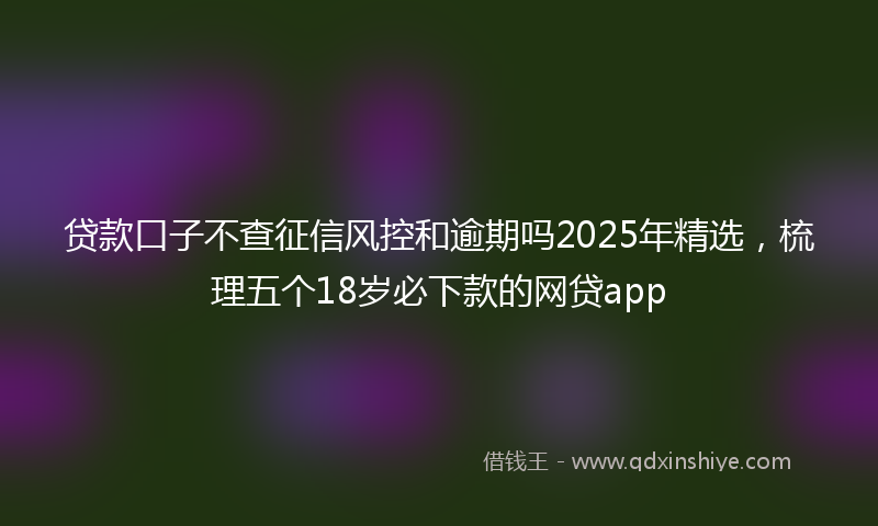 贷款口子不查征信风控和逾期吗2025年精选，梳理五个18岁必下款的网贷app