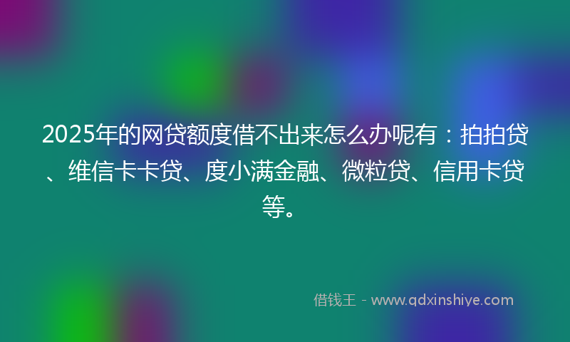 2025年的网贷额度借不出来怎么办呢有：拍拍贷、维信卡卡贷、度小满金融、微粒贷、信用卡贷等。