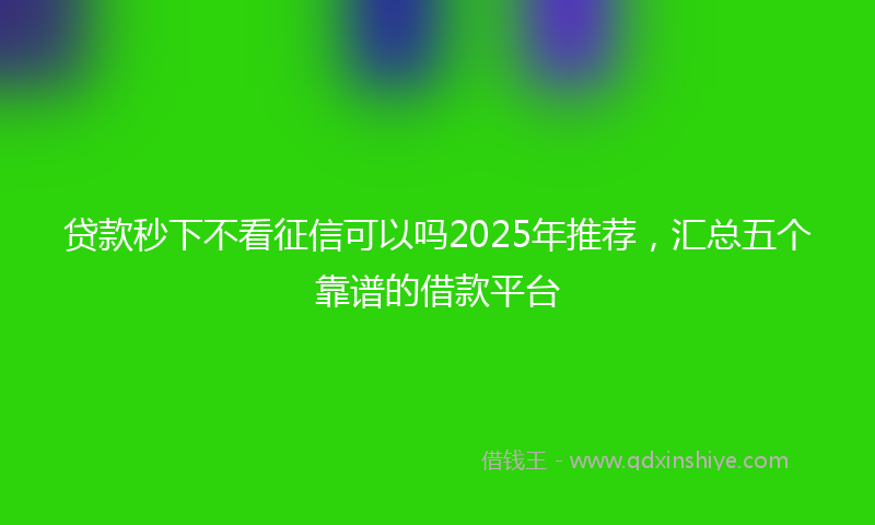 贷款秒下不看征信可以吗2025年推荐，汇总五个靠谱的借款平台