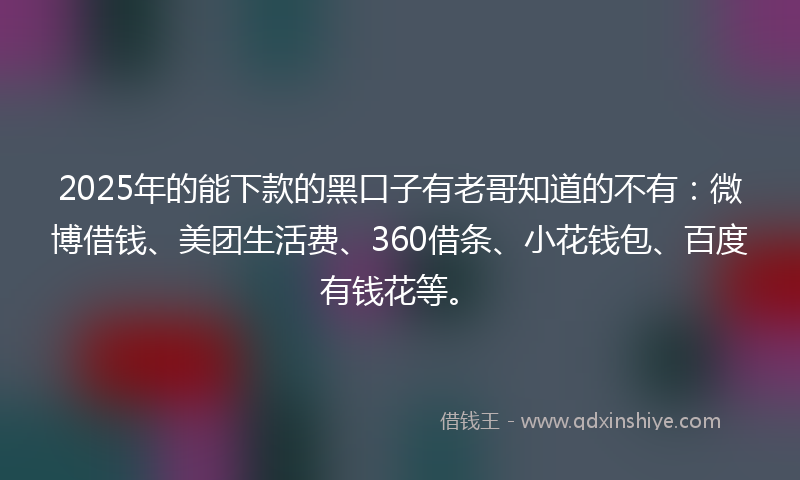 2025年的能下款的黑口子有老哥知道的不有：微博借钱、美团生活费、360借条、小花钱包、百度有钱花等。