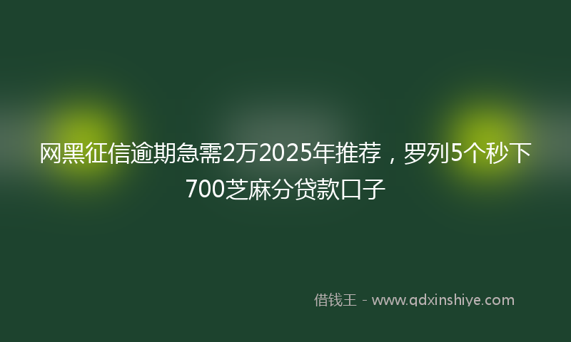 网黑征信逾期急需2万2025年推荐，罗列5个秒下700芝麻分贷款口子