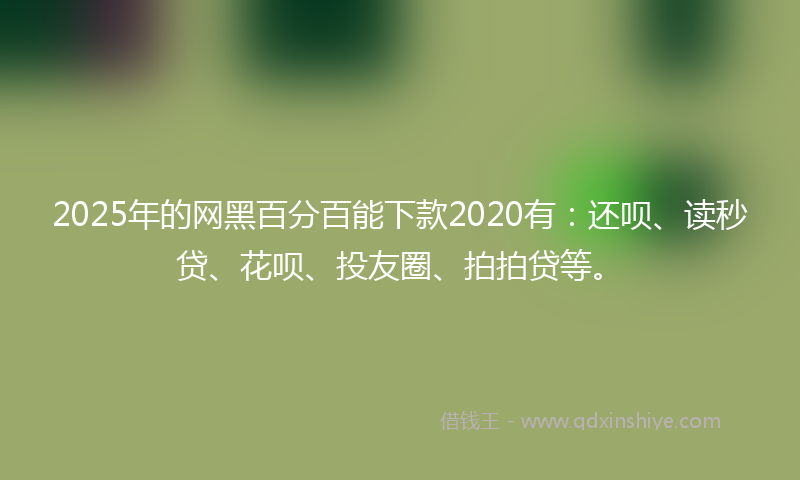 2025年的网黑百分百能下款2020有：还呗、读秒贷、花呗、投友圈、拍拍贷等。