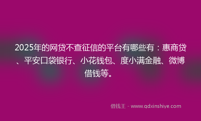 2025年的网贷不查征信的平台有哪些有：惠商贷、平安口袋银行、小花钱包、度小满金融、微博借钱等。