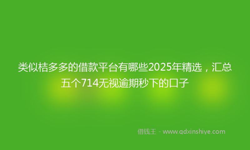 类似桔多多的借款平台有哪些2025年精选，汇总五个714无视逾期秒下的口子