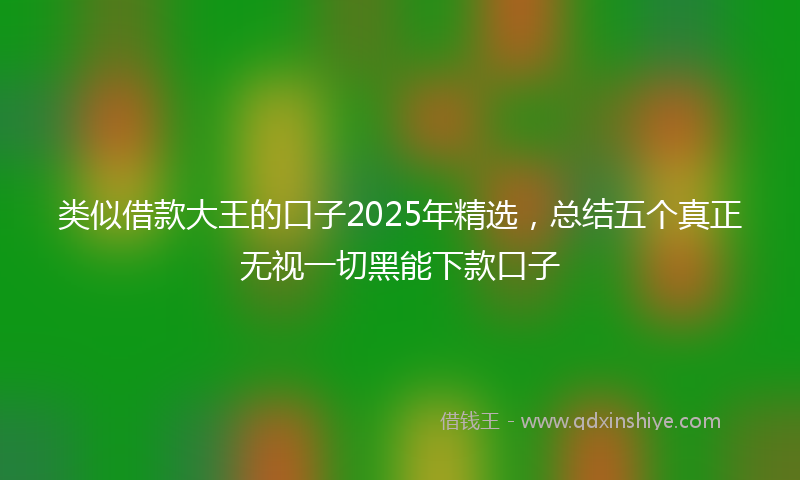 类似借款大王的口子2025年精选，总结五个真正无视一切黑能下款口子