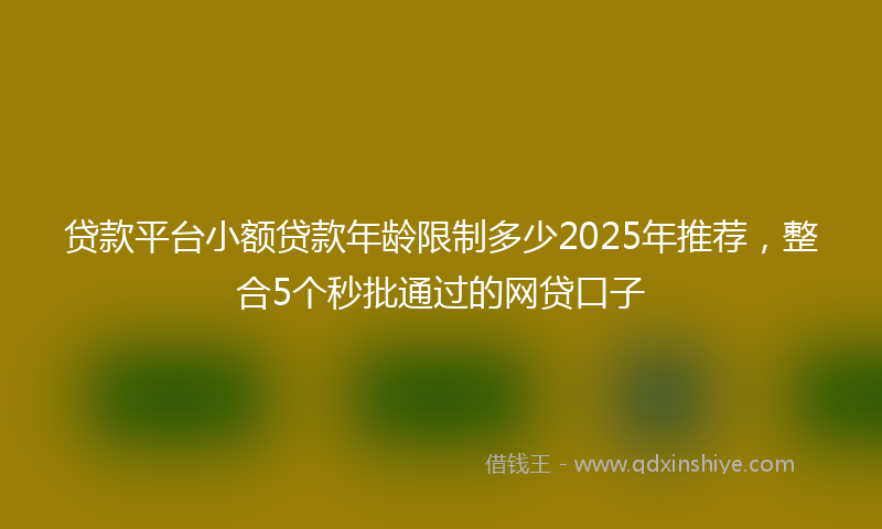贷款平台小额贷款年龄限制多少2025年推荐，整合5个秒批通过的网贷口子