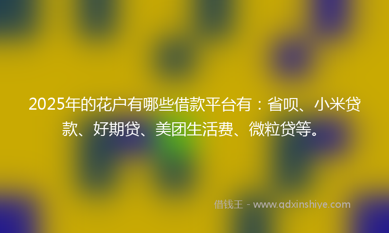 2025年的花户有哪些借款平台有：省呗、小米贷款、好期贷、美团生活费、微粒贷等。