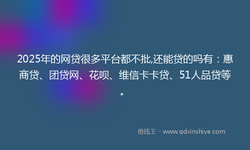 2025年的网贷很多平台都不批,还能贷的吗有：惠商贷、团贷网、花呗、维信卡卡贷、51人品贷等。