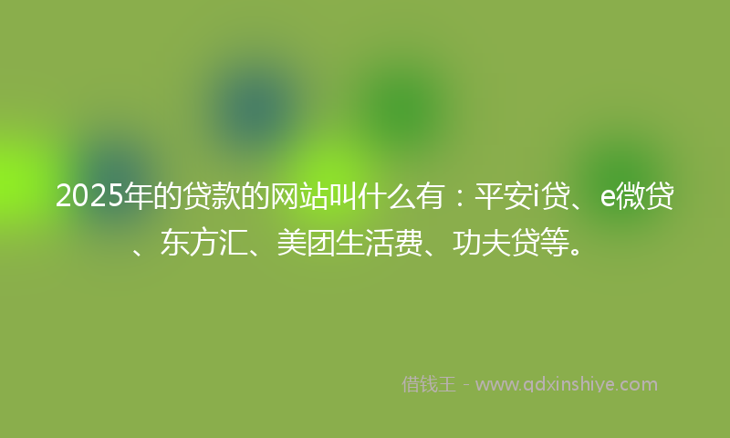 2025年的贷款的网站叫什么有：平安i贷、e微贷、东方汇、美团生活费、功夫贷等。