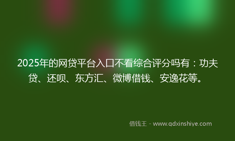 2025年的网贷平台入口不看综合评分吗有：功夫贷、还呗、东方汇、微博借钱、安逸花等。