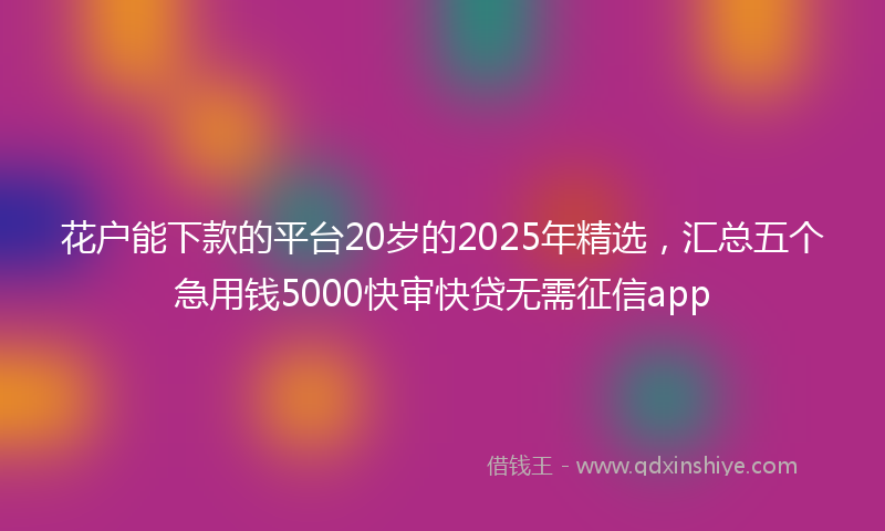 花户能下款的平台20岁的2025年精选，汇总五个急用钱5000快审快贷无需征信app