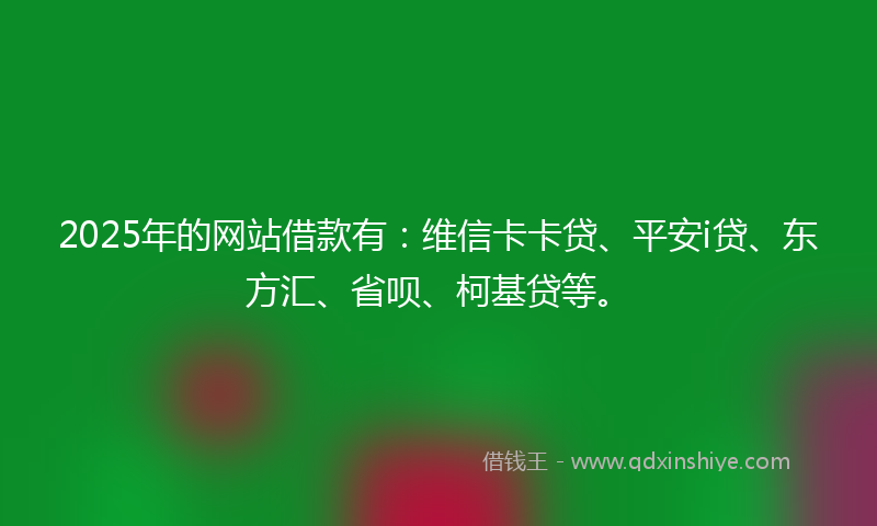 2025年的网站借款有：维信卡卡贷、平安i贷、东方汇、省呗、柯基贷等。