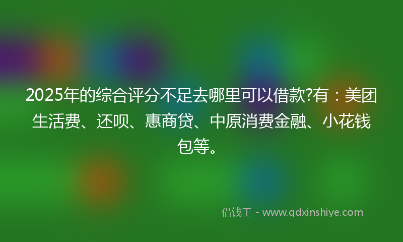 2025年的综合评分不足去哪里可以借款?有：美团生活费、还呗、惠商贷、中原消费金融、小花钱包等。