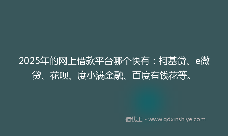 2025年的网上借款平台哪个快有：柯基贷、e微贷、花呗、度小满金融、百度有钱花等。