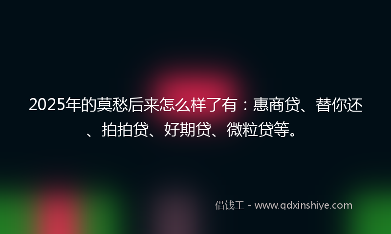 2025年的莫愁后来怎么样了有：惠商贷、替你还、拍拍贷、好期贷、微粒贷等。