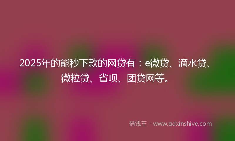 2025年的能秒下款的网贷有：e微贷、滴水贷、微粒贷、省呗、团贷网等。