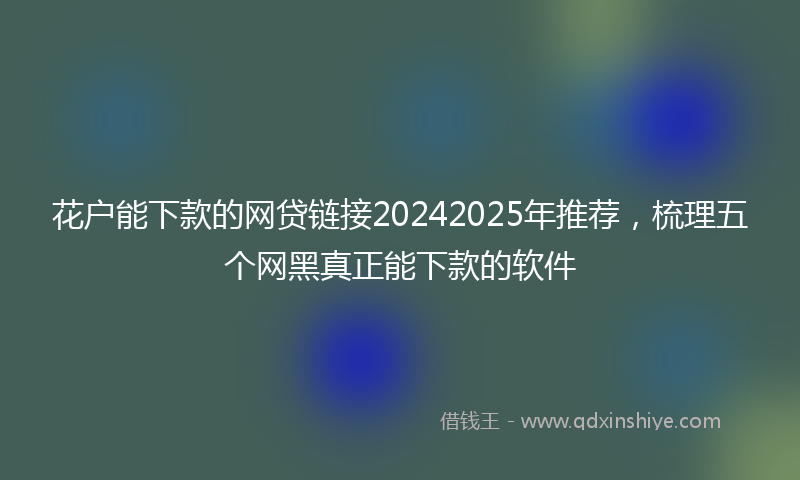 花户能下款的网贷链接20242025年推荐，梳理五个网黑真正能下款的软件
