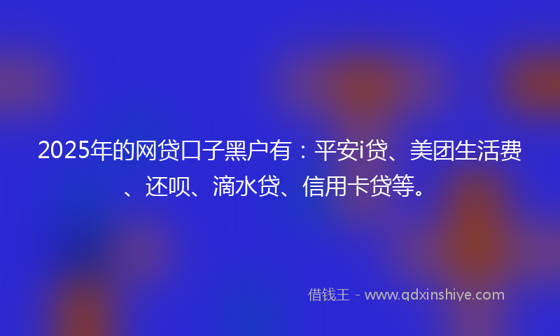 2025年的网贷口子黑户有：平安i贷、美团生活费、还呗、滴水贷、信用卡贷等。