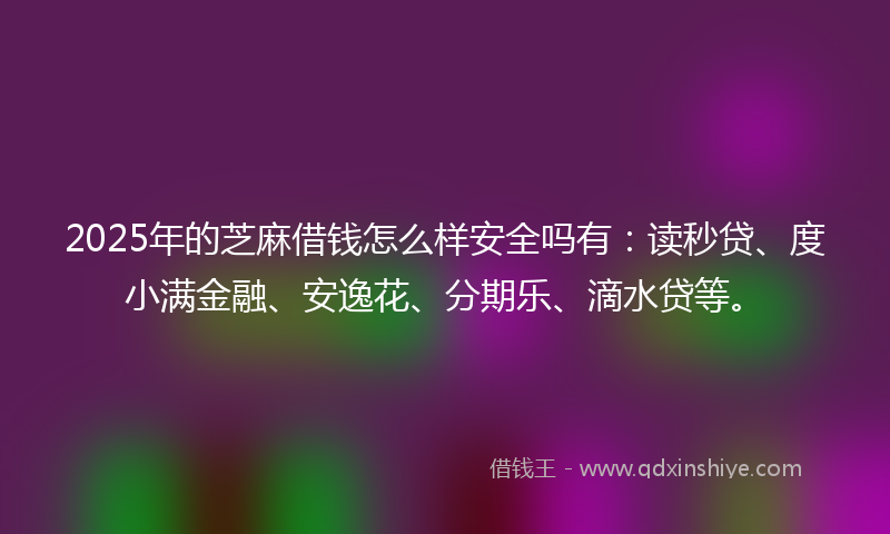 2025年的芝麻借钱怎么样安全吗有：读秒贷、度小满金融、安逸花、分期乐、滴水贷等。