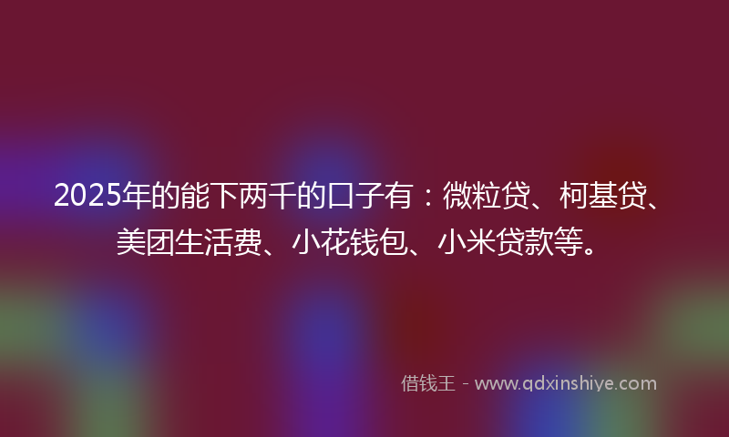 2025年的能下两千的口子有：微粒贷、柯基贷、美团生活费、小花钱包、小米贷款等。
