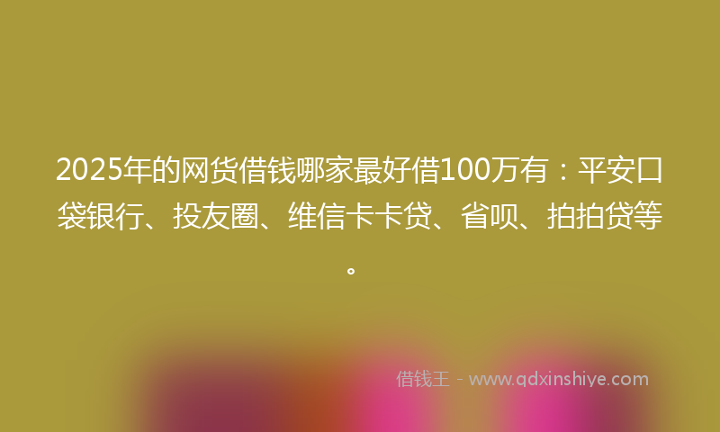 2025年的网货借钱哪家最好借100万有：平安口袋银行、投友圈、维信卡卡贷、省呗、拍拍贷等。