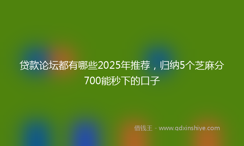 贷款论坛都有哪些2025年推荐，归纳5个芝麻分700能秒下的口子