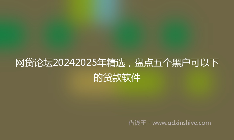 网贷论坛20242025年精选，盘点五个黑户可以下的贷款软件