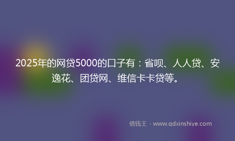 2025年的网贷5000的口子有：省呗、人人贷、安逸花、团贷网、维信卡卡贷等。