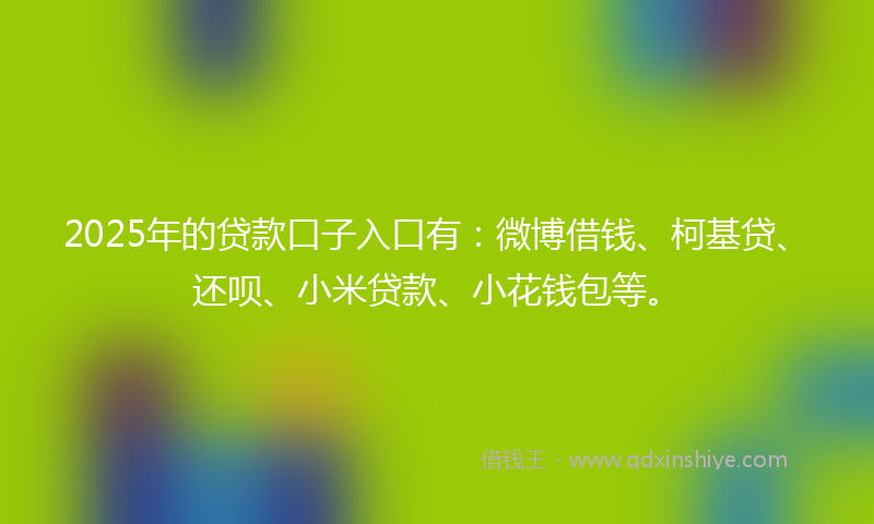 2025年的贷款口子入口有：微博借钱、柯基贷、还呗、小米贷款、小花钱包等。