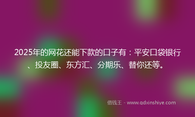 2025年的网花还能下款的口子有：平安口袋银行、投友圈、东方汇、分期乐、替你还等。