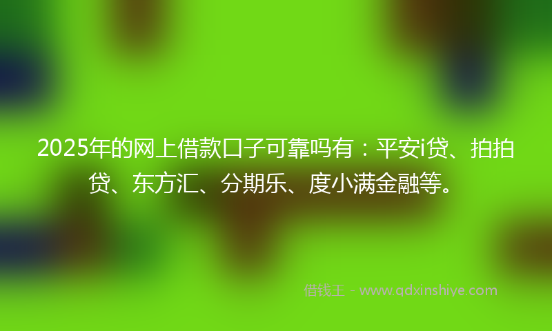 2025年的网上借款口子可靠吗有：平安i贷、拍拍贷、东方汇、分期乐、度小满金融等。