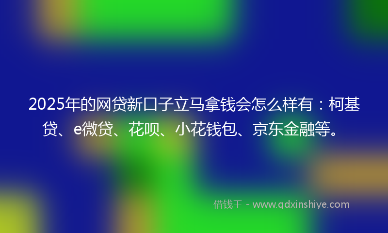2025年的网贷新口子立马拿钱会怎么样有：柯基贷、e微贷、花呗、小花钱包、京东金融等。