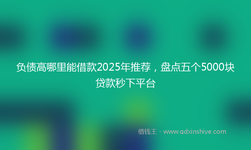 负债高哪里能借款2025年推荐，盘点五个5000块贷款秒下平台