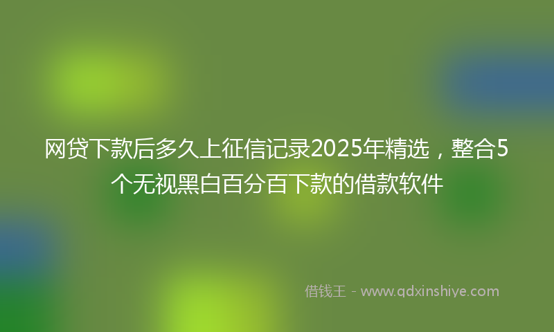 网贷下款后多久上征信记录2025年精选，整合5个无视黑白百分百下款的借款软件