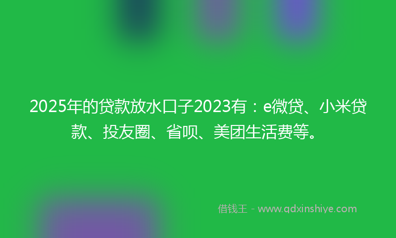 2025年的贷款放水口子2023有：e微贷、小米贷款、投友圈、省呗、美团生活费等。