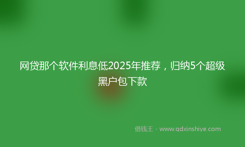 网贷那个软件利息低2025年推荐，归纳5个超级黑户包下款