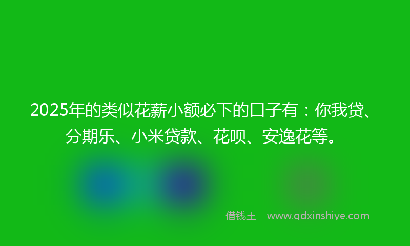 2025年的类似花薪小额必下的口子有：你我贷、分期乐、小米贷款、花呗、安逸花等。