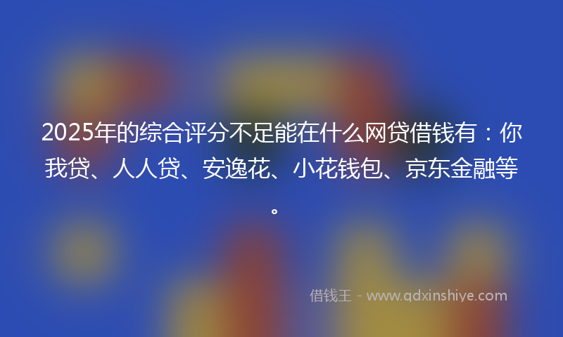 2025年的综合评分不足能在什么网贷借钱有：你我贷、人人贷、安逸花、小花钱包、京东金融等。