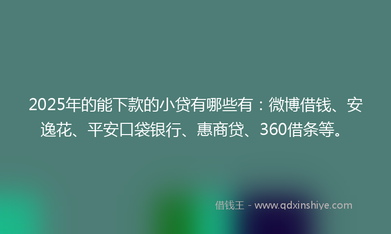 2025年的能下款的小贷有哪些有：微博借钱、安逸花、平安口袋银行、惠商贷、360借条等。