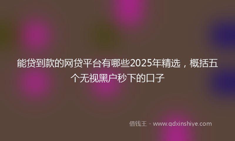 能贷到款的网贷平台有哪些2025年精选，概括五个无视黑户秒下的口子